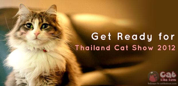 ไปเที่ยวงาน Thailand Cat Show 2012 กันดีกว่า !!!