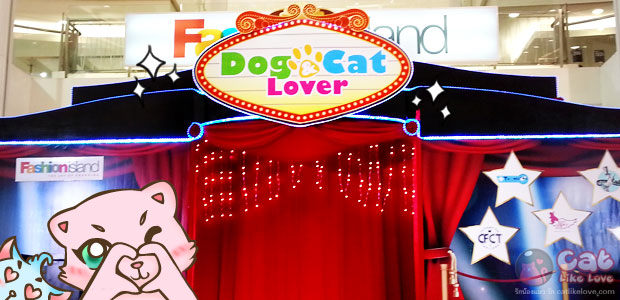CatLikeLove พาเที่ยวงาน Dog & Cat Lover … แฟชั่น “ซุปตาร์”  !!!