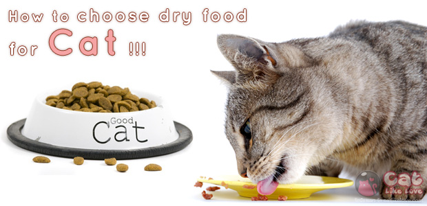 เอ๋?.อาหารแมวแบบไหนถึงจะดีกับน้องแมวน้าา