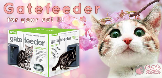 “Gatefeeder” ถาดอาหารแมว สุดเลิศด้วย RFID